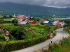 Land scene in Cork